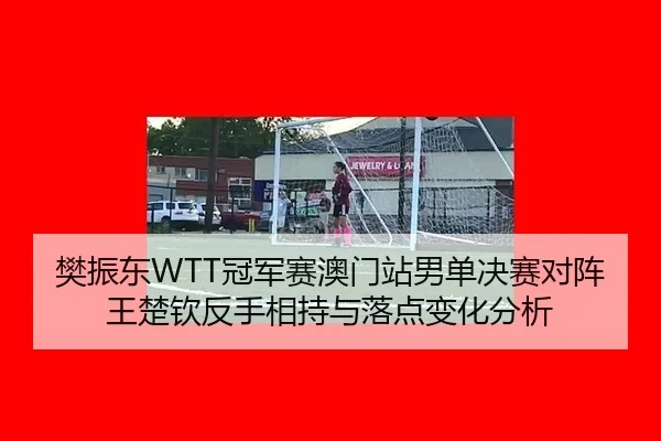 樊振东WTT冠军赛澳门站男单决赛对阵王楚钦反手相持与落点变化分析