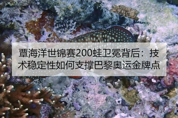 tan-hai-yang-shi-jin-sai-wa-wei-mian-bei-hou-ji-shu-wen-ding-xing-ru-he-zhi-cheng-ba-li-ao-yun-jin-pai-dian-3-345.jpg